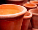 Container Gardening - How to Start a Container Garden and Window ...