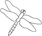 Dragonfly coloring page