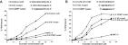 Characterization of RNA aptamers directed against the nucleocapsid ... 