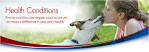 Pet Health Questions Answered by Hill's – Common Pet Health Issues