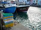 Fishing boats and fish boxes, - via Daymix