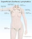 Swollen Lymph Nodes (Glands) Pictures, Causes, Symptoms, Location ...