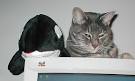 Josh's Weblog: April 2005 Archives