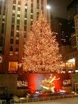 File:Rockefeller Center christmas tree.jpg - Wikipedia, the free ...
