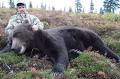 Alaska Bear hunts, moose hunts, caribou hunting with Alaska ...