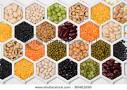 Various Dry Bean Products In Cellular Cells Stock Photo 80461696 ...