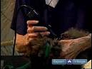 Long-hair cats may need help with grooming - Worldnews.