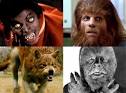 Wolf, New Moon Werewolf