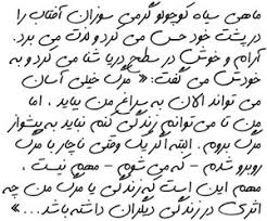 عزیزم، برای ناهار چی بپزم؟؟