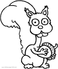 Squirrel coloring page