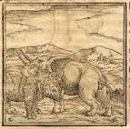 MunsterRhinoElephant.jpg - via Daymix