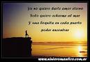 QUIERO AMOR