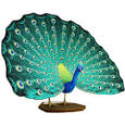 Indian Peafowl - Other Animals - Animals - Paper CraftCanon ...