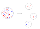 File:Founder effect.png - Wikimedia Commons - via Daymix