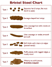 What Does a Healthy Poop Look Like? Body Detox Benefits