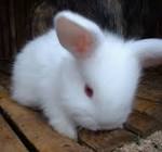 images?q=tbn:ANd9GcS1hA57N3HuKcpQJ25dtvoQyZSrdThvyOvdA-IH449FL_OR2WzcIReS0eJO