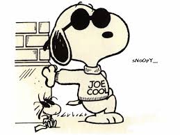 joe cool