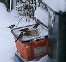 Another use for a Recycle Bin. - via Daymix