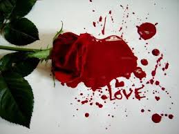 لماذا الوردة الحمراء تعبر عن الحب Images?q=tbn:ANd9GcS2NrD5Rs3Y7I9ey5AL6P-PgtLIJGEq2GBqXfUxwTBLQWj0UPCR