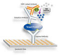 Microscopes Blog: ELISA: Expert's reviews, news, notes on ...