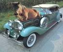 Where does the term “horsepower” come from? « melange