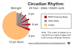 sleep dream cycle and the Circadian and Ultradian Rhythm