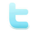 http://www.matthewkeegan.com/wp-content/uploads/2010/08/twitter-t.jpg