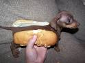 hot dog « letters from nairobi