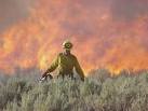 Grand Mesa Uncompahgre and Gunnison National Forests - Land ...