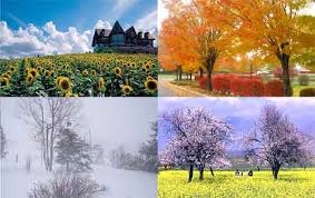 คำศัพท์หมวด Season : ฤดูกาล