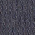 Broadcast Carpet | Shaw Carpet | Queen Carpet | Myers Carpet