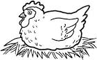 Chicken coloring page
