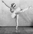 http://www.thecolorsofdance.com/images/fontayne.jpg