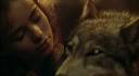 a story of a wounded wolf.