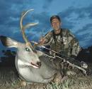 Wyoming Mulie, Coyotes and Views