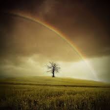 images?q=tbn:ANd9GcS59z2RH_iPPlyGkPLfjGS6mHfFY5PKEJ8PwSqBcQp1ksQ3XWvC