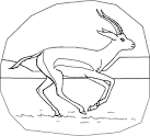 Gazelle coloring page