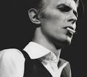 Bowie > Sinatra Spam pam waba