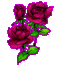 Hettie Austin (1
849 -  1916) - ...