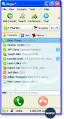 About SKYPE: SKYPE explained