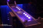 Gotek's new LED lighting fixture from China