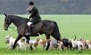 Hunting Act convictions at their highest: Get the figures here ...