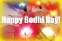 David Victor Vector: Bodhi Day