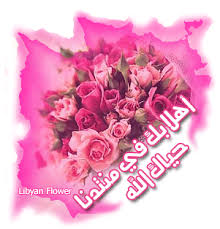 اهلا وسهلا بالأخت ( Kinana Alafndi ) والاخ ( zaher Sh ) نورتوا الموقع ...~ Images?q=tbn:ANd9GcS6YQLz7NmlNqmGrkATQphHk5gYJFRBhVGou8BscvTNRGEWJ4ac