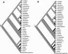 Revista de biología marina y oceanografía - The origins of ...