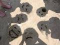 funny beach photos