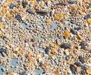 Birdseed | Seed Laboratory | Oregon State University