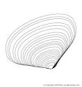 Clam coloring page