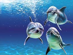 DELFINI