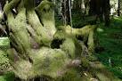 Moss Creature: Look closely. - via Daymix